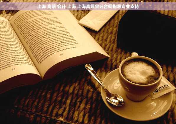 上海 高端 会计 上海 上海高端会计合规指导专业支持
