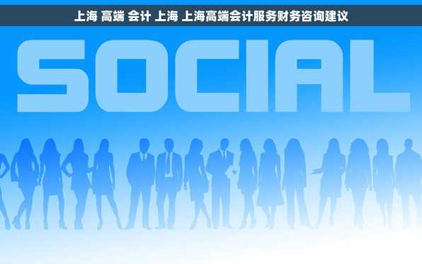 上海 高端 会计 上海 上海高端会计服务财务咨询建议