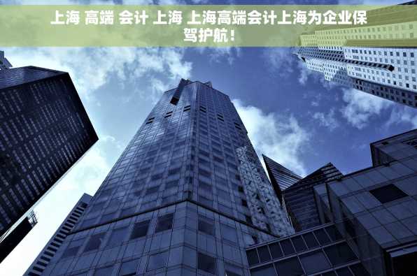 上海 高端 会计 上海 上海高端会计上海为企业保驾护航！