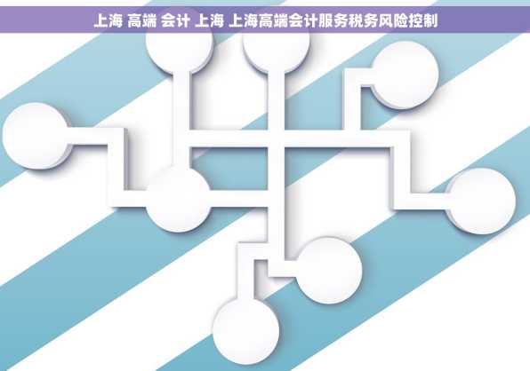 上海 高端 会计 上海 上海高端会计服务税务风险控制