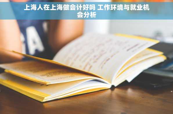 上海人在上海做会计好吗 工作环境与就业机会分析