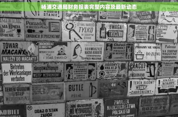 杨浦交通局财务报表完整内容及最新动态
