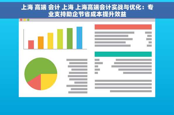 上海 高端 会计 上海 上海高端会计实战与优化：专业支持助企节省成本提升效益