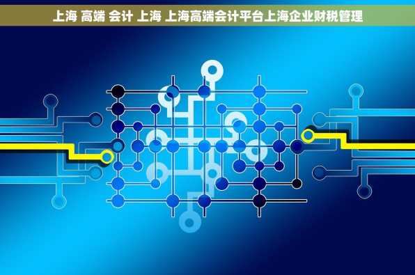 上海 高端 会计 上海 上海高端会计平台上海企业财税管理