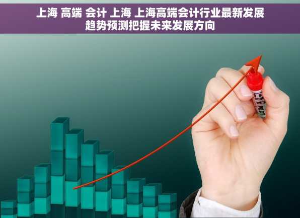 上海 高端 会计 上海 上海高端会计行业最新发展趋势预测把握未来发展方向