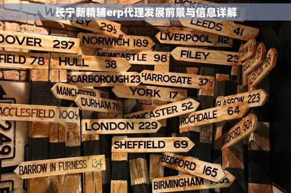 长宁新精辅erp代理发展前景与信息详解