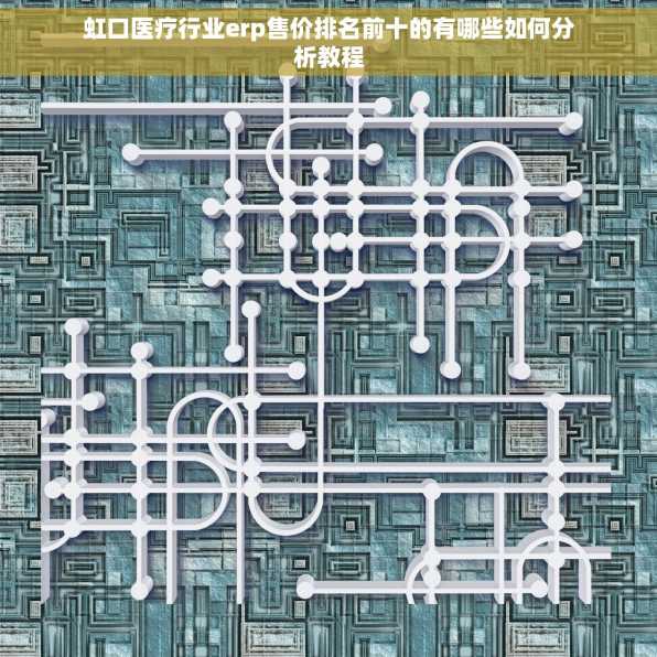 虹口医疗行业erp售价排名前十的有哪些如何分析教程