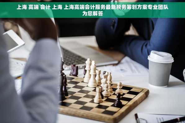 上海 高端 会计 上海 上海高端会计服务最新税务筹划方案专业团队为您解答