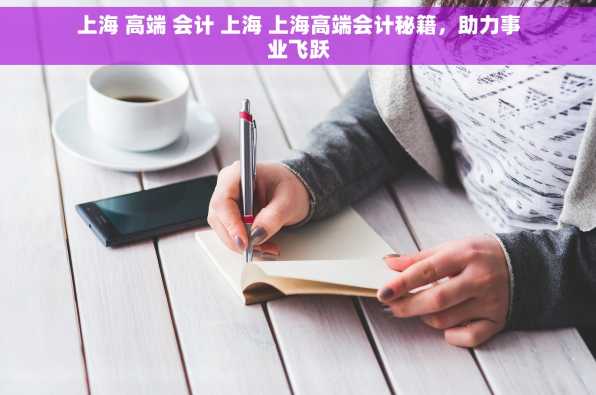 上海 高端 会计 上海 上海高端会计秘籍，助力事业飞跃