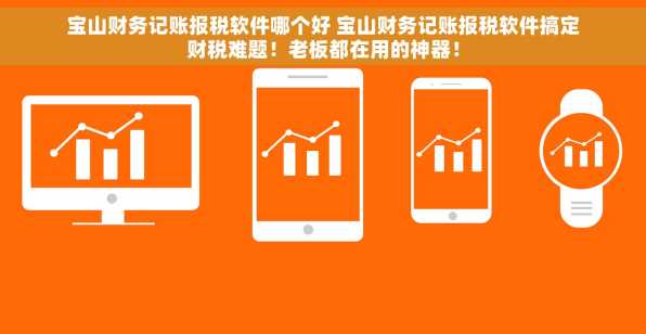 宝山财务记账报税软件哪个好 宝山财务记账报税软件搞定财税难题！老板都在用的神器！