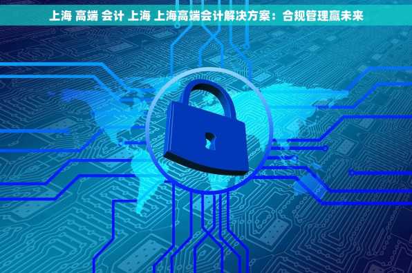 上海 高端 会计 上海 上海高端会计解决方案：合规管理赢未来
