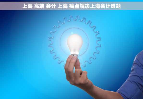 上海 高端 会计 上海 痛点解决上海会计难题
