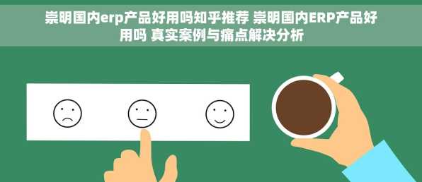 崇明国内erp产品好用吗知乎推荐 崇明国内ERP产品好用吗 真实案例与痛点解决分析