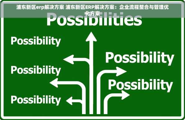 浦东新区erp解决方案 浦东新区ERP解决方案：企业流程整合与管理优化方案