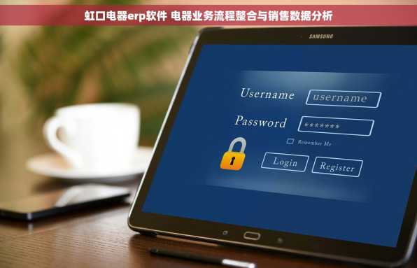 虹口电器erp软件 电器业务流程整合与销售数据分析