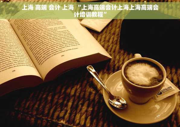 上海 高端 会计 上海 “上海高端会计上海上海高端会计培训教程”