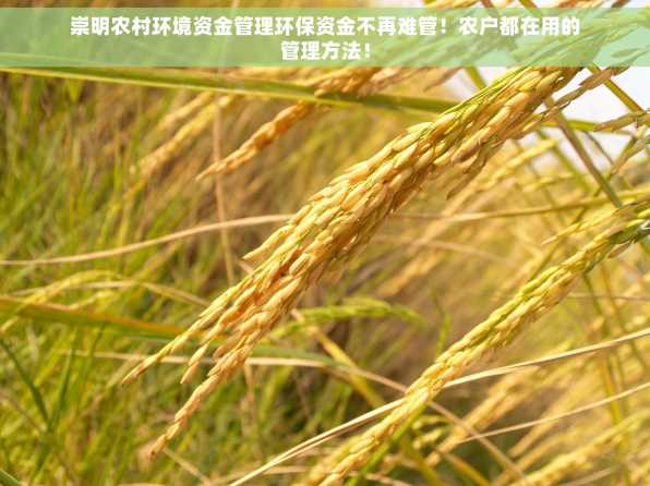 崇明农村环境资金管理环保资金不再难管！农户都在用的管理方法！