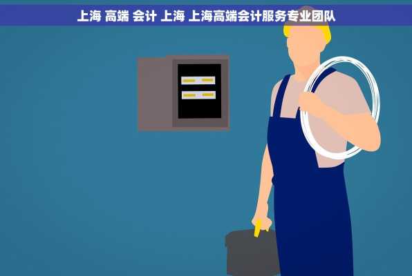 上海 高端 会计 上海 上海高端会计服务专业团队