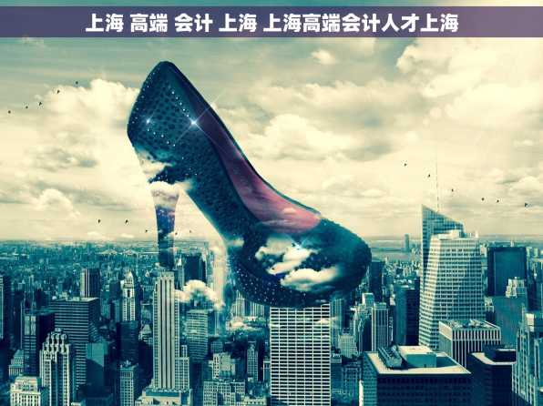上海 高端 会计 上海 上海高端会计人才上海