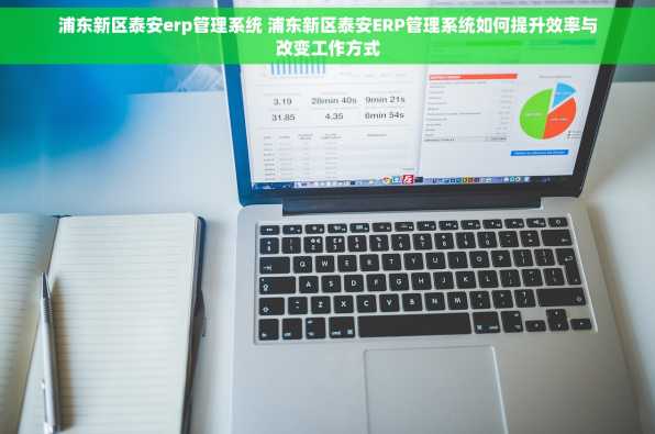 浦东新区泰安erp管理系统 浦东新区泰安ERP管理系统如何提升效率与改变工作方式