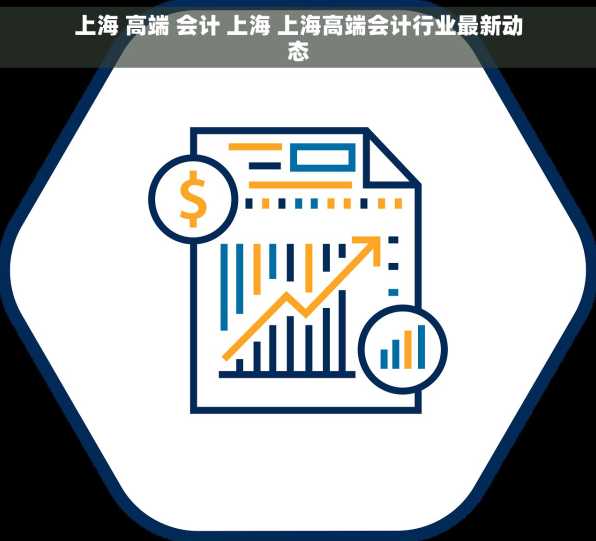 上海 高端 会计 上海 上海高端会计行业最新动态