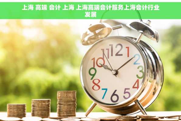 上海 高端 会计 上海 上海高端会计服务上海会计行业发展