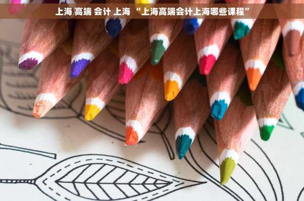 上海 高端 会计 上海 “上海高端会计上海哪些课程”