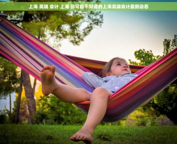 上海 高端 会计 上海 你可能不知道的上海高端会计最新动态