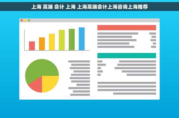 上海 高端 会计 上海 上海高端会计上海咨询上海推荐