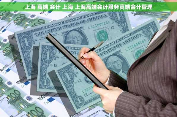 上海 高端 会计 上海 上海高端会计服务高端会计管理