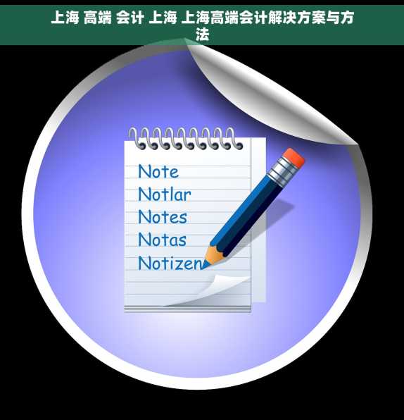 上海 高端 会计 上海 上海高端会计解决方案与方法