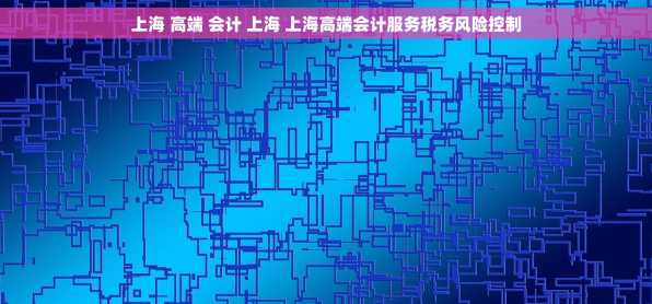 上海 高端 会计 上海 上海高端会计服务税务风险控制