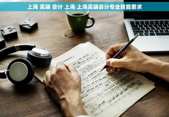 上海 高端 会计 上海 上海高端会计专业技能要求