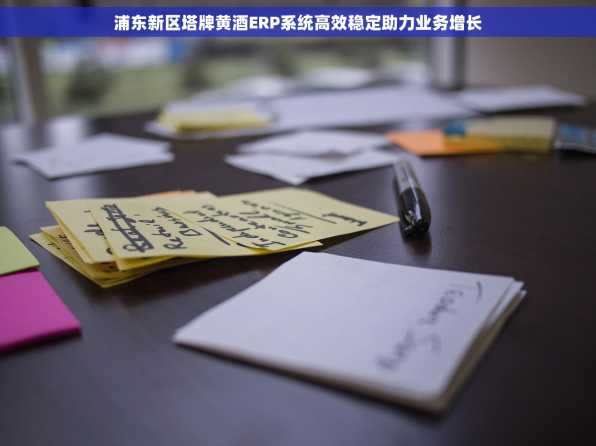浦东新区塔牌黄酒ERP系统高效稳定助力业务增长