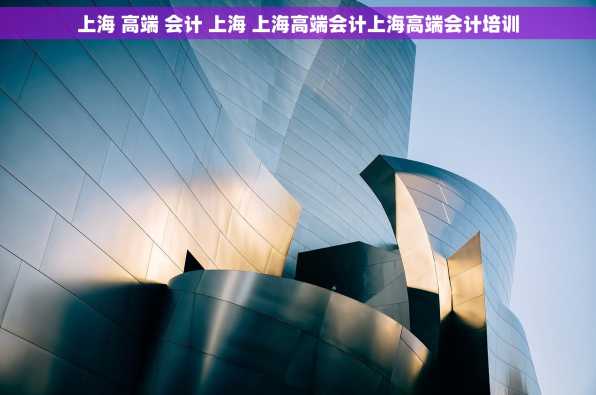 上海 高端 会计 上海 上海高端会计上海高端会计培训