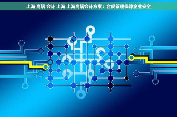 上海 高端 会计 上海 上海高端会计方案：合规管理保障企业安全