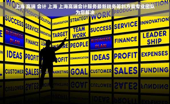 上海 高端 会计 上海 上海高端会计服务最新税务筹划方案专业团队为您解决