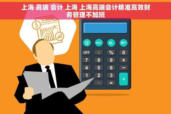 上海 高端 会计 上海 上海高端会计精准高效财务管理不加班