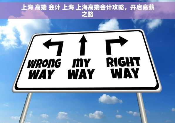 上海 高端 会计 上海 上海高端会计攻略，开启高薪之路