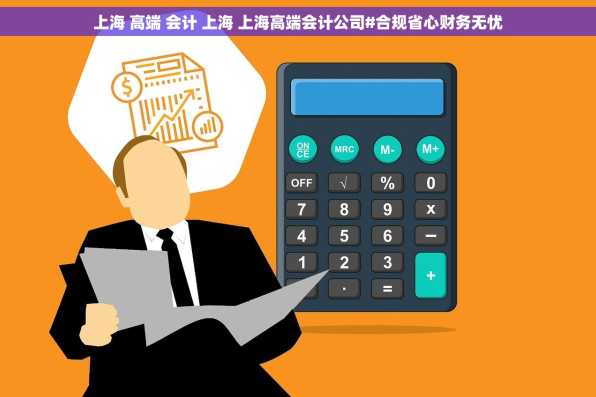 上海 高端 会计 上海 上海高端会计公司#合规省心财务无忧