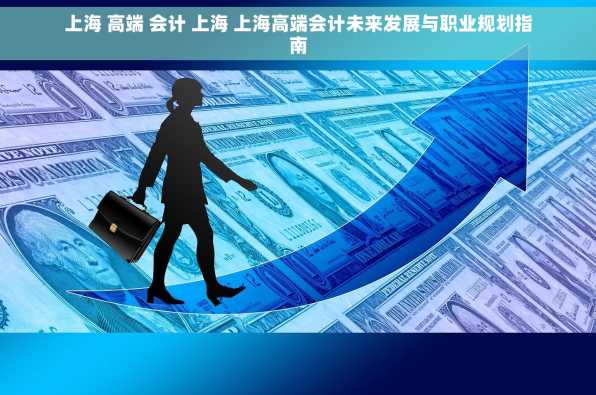 上海 高端 会计 上海 上海高端会计未来发展与职业规划指南