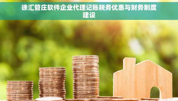 徐汇管庄软件企业代理记账税务优惠与财务制度建设