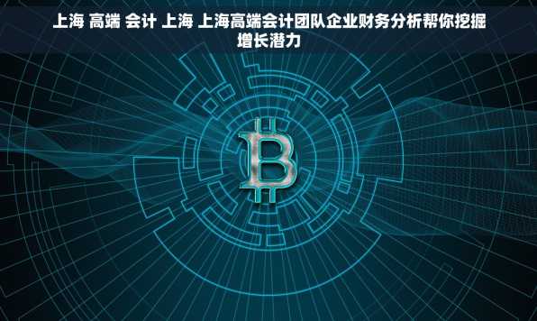 上海 高端 会计 上海 上海高端会计团队企业财务分析帮你挖掘增长潜力