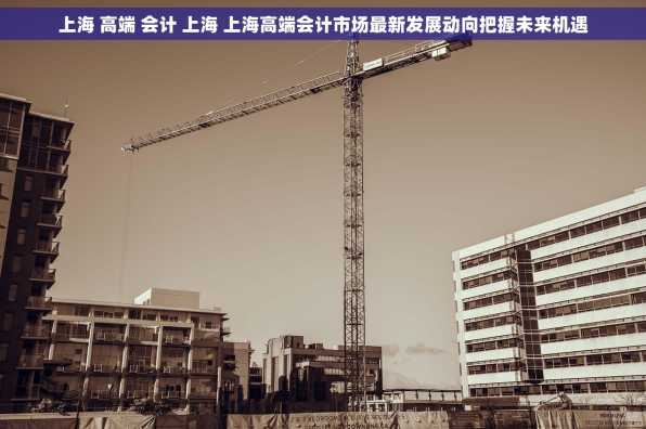 上海 高端 会计 上海 上海高端会计市场最新发展动向把握未来机遇