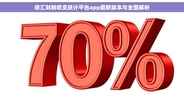 徐汇财税收支统计平台app最新版本与全面解析