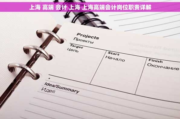 上海 高端 会计 上海 上海高端会计岗位职责详解