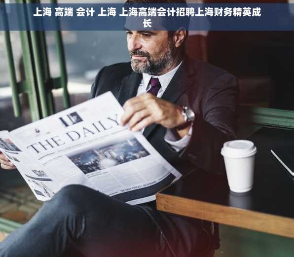 上海 高端 会计 上海 上海高端会计招聘上海财务精英成长