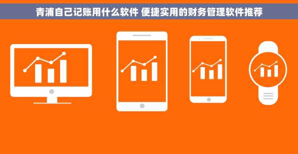 青浦自己记账用什么软件 便捷实用的财务管理软件推荐