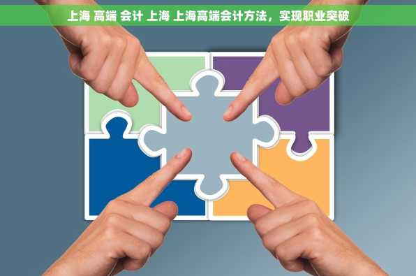 上海 高端 会计 上海 上海高端会计方法，实现职业突破