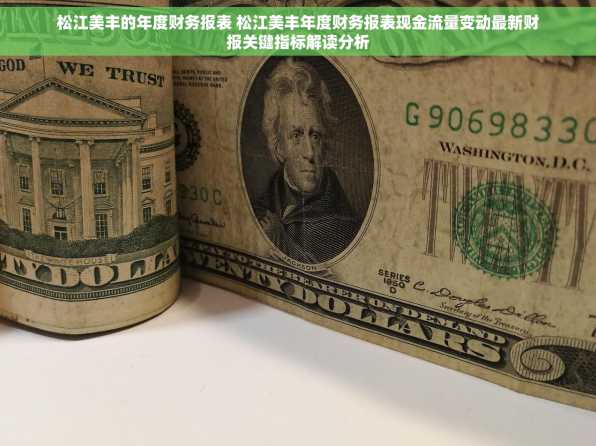 松江美丰的年度财务报表 松江美丰年度财务报表现金流量变动最新财报关键指标解读分析